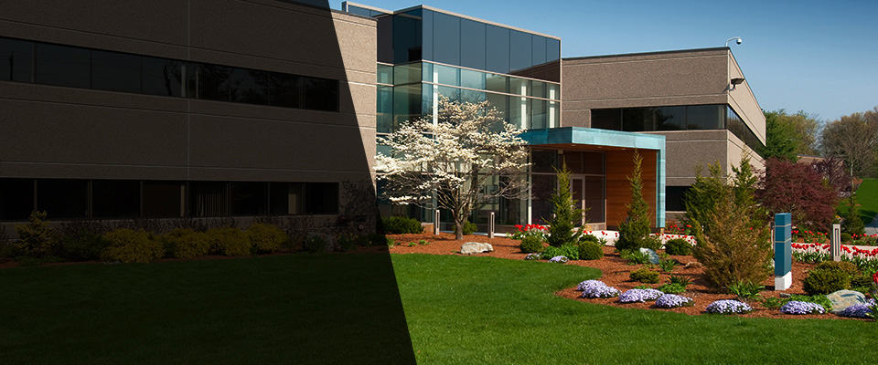 Jacksonville Landscapers